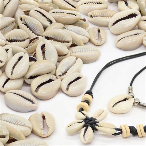 shell beads for jewelry making|real cowrie shells.